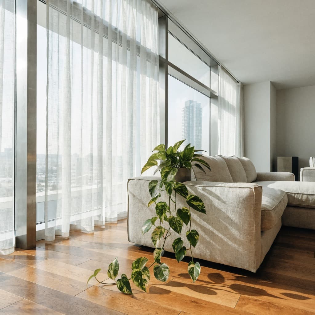 Golden Pothos styled in a warm UAE home