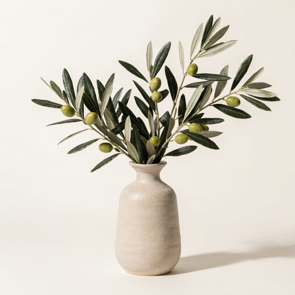 Olive Tree Table Plant