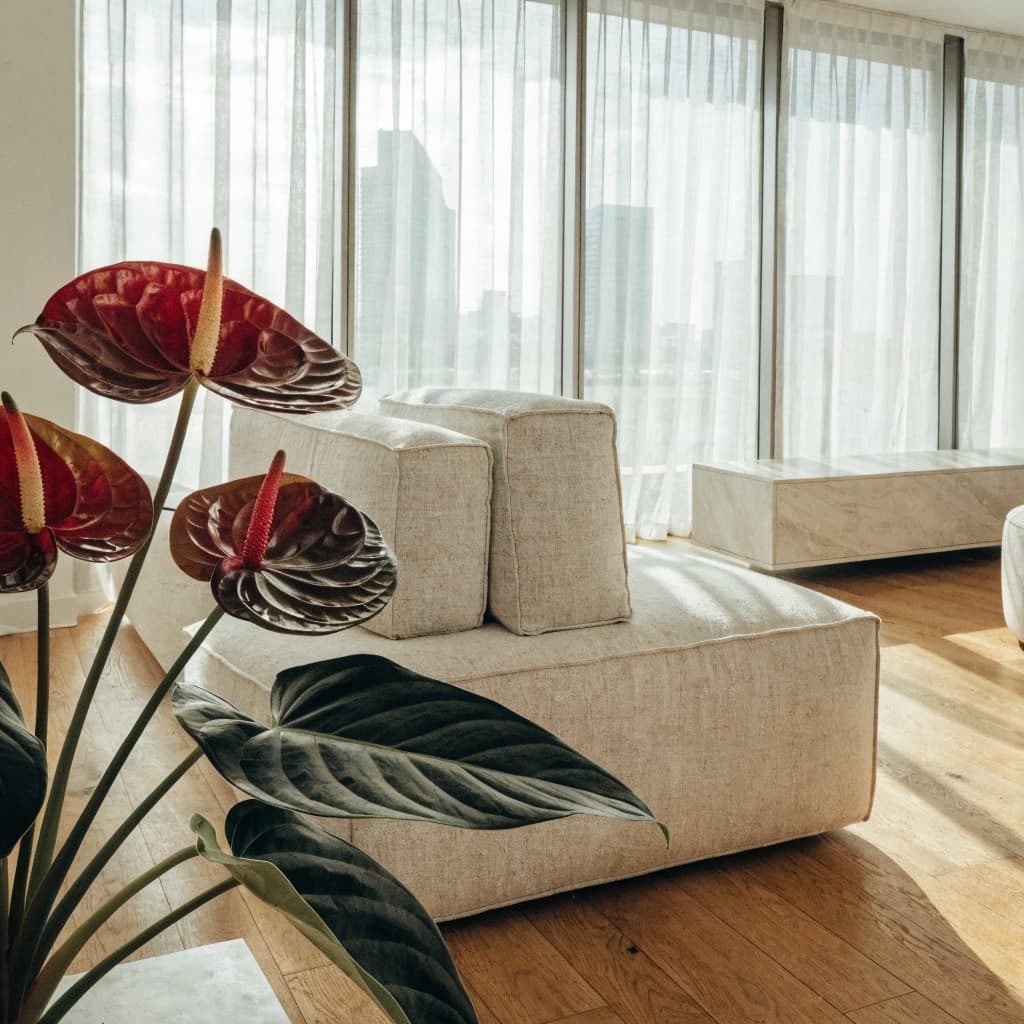 Red Anthurium styled in a warm UAE home