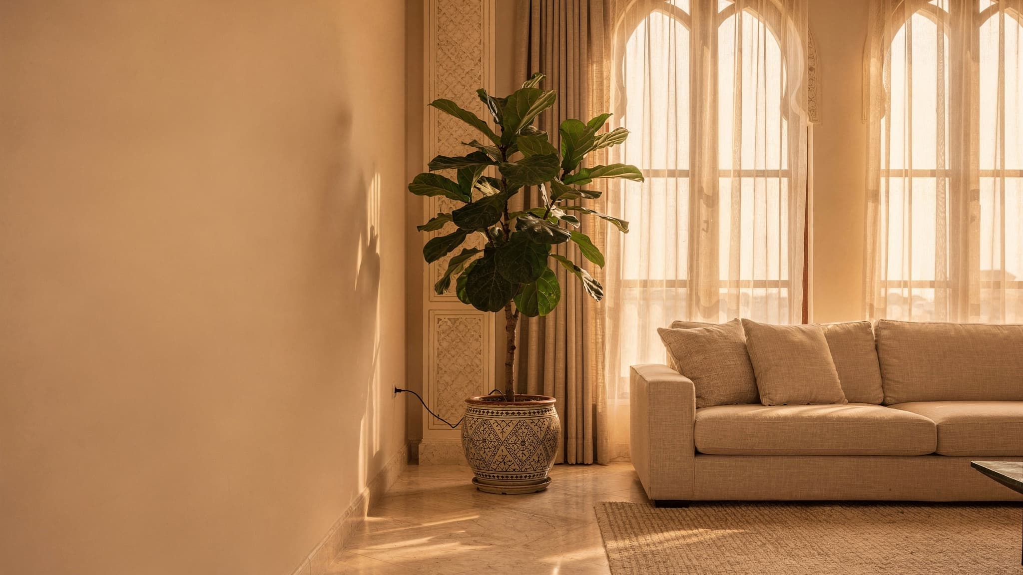 Leafy indoor plants in a bright villa living room